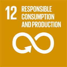 RESPONSIBLE CONSUMPTION AND PRODUCTION